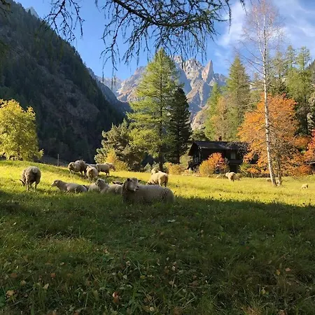 Chalet Val Ferret Ideal For Tmb, Hiking, Panorama 木屋